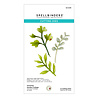 Spellbinders Victorian Garden Foliage Etched Dies (S4-1278) (OUTLET) Spellbinders Victorian Garden Foliage Etched Dies (S4-1278) (OUTLET)