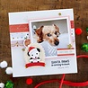 Spellbinders Special Pet Delivery Etched Dies (S4-1216) (OUTLET) Spellbinders Special Pet Delivery Etched Dies (S4-1216) (OUTLET)