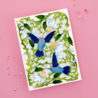 Spellbinders Delicate Floral Hummingbirds Etched Dies (S7-230) (OUTLET) Spellbinders Delicate Floral Hummingbirds Etched Dies (S7-230) (OUTLET)