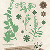 Studio Light Decorative Leaves Essentials Dies (JMA-ES-CD205) (OUTLET) Studio Light Decorative Leaves Essentials Dies (JMA-ES-CD205) (OUTLET)