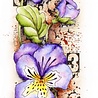 Studio Light Violets Grunge Stamps (SL-GR-STAMP200) (OUTLET) Studio Light Violets Grunge Stamps (SL-GR-STAMP200) (OUTLET)