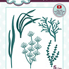Creative Expressions Sue Wilson Craft Die Necessities Aquatic Plants (CED23046) (OUTLET) Creative Expressions Sue Wilson Craft Die Necessities Aquatic Plants (CED23046) (OUTLET)