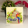 Creative Expressions Sue Wilson Craft Die Necessities Parrot (CED23052) (OUTLET) Creative Expressions Sue Wilson Craft Die Necessities Parrot (CED23052) (OUTLET)