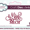 Creative Expressions Sue Wilson Craft Die Mini Expressions I Miss You So Much (CEDME117) (OUTLET) Creative Expressions Sue Wilson Craft Die Mini Expressions I Miss You So Much (CEDME117) (OUTLET)