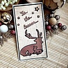 Creative Expressions Craft Dies One-liner Collection Safe & Warm (CEDSE015) (OUTLET) Creative Expressions Craft Dies One-liner Collection Safe & Warm (CEDSE015) (OUTLET)
