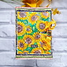Creative Expressions Background Stamp A6 Sunny Days (CER041) (OUTLET) Creative Expressions Background Stamp A6 Sunny Days (CER041) (OUTLET)