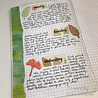 Creative Expressions Helen Colebrook Washi Tape Set Leafty Walk (3pcs) (CEWASHILW) (OUTLET) Creative Expressions Helen Colebrook Washi Tape Set Leafty Walk (3pcs) (CEWASHILW) (OUTLET)