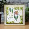 Creative Expressions Designer Boutique Clear Stamp A6 From Owl Of Us (UMSDB142) (OUTLET) Creative Expressions Designer Boutique Clear Stamp A6 From Owl Of Us (UMSDB142) (OUTLET)