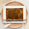 Creative Expressions Designer Boutique Clear Stamp A6 Thankful (UMSDB156) (OUTLET) Creative Expressions Designer Boutique Clear Stamp A6 Thankful (UMSDB156) (OUTLET)