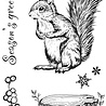 Creative Expressions Designer Boutique Clear Stamp A6 Squirrel Greetings (UMSDB166) (OUTLET) Creative Expressions Designer Boutique Clear Stamp A6 Squirrel Greetings (UMSDB166) (OUTLET)