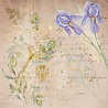 Crafter's Companion Secret Garden Collection 8x8 Inch Vellum Pad (NG-SG-VELPAD) (OUTLET) Crafter's Companion Secret Garden Collection 8x8 Inch Vellum Pad (NG-SG-VELPAD) (OUTLET)
