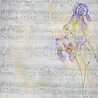 Crafter's Companion Secret Garden Collection 8x8 Inch Vellum Pad (NG-SG-VELPAD) (OUTLET) Crafter's Companion Secret Garden Collection 8x8 Inch Vellum Pad (NG-SG-VELPAD) (OUTLET)