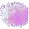 Cosmic Shimmer Blaze Embossing Powder Pink Violet 20ml (CSEPPINVIO) (OUTLET) Cosmic Shimmer Blaze Embossing Powder Pink Violet 20ml (CSEPPINVIO) (OUTLET)