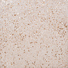 Cosmic Shimmer Mineral Mica Giallo Gold 50ml (CSMINGIALLO) (OUTLET) Cosmic Shimmer Mineral Mica Giallo Gold 50ml (CSMINGIALLO) (OUTLET)