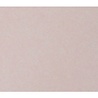 Cosmic Shimmer Colour Cloud Blending Ink Frosted Blossom 38gms (CSPMCCFRBLOS) (OUTLET) Cosmic Shimmer Colour Cloud Blending Ink Frosted Blossom 38gms (CSPMCCFRBLOS) (OUTLET)