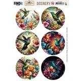 Berrie's Beauties Vintage Hummingbirds Scenery Push Out Round (BBSC10099)