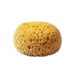 Stamperia Art Stories Sponge Paint (ASTL003)