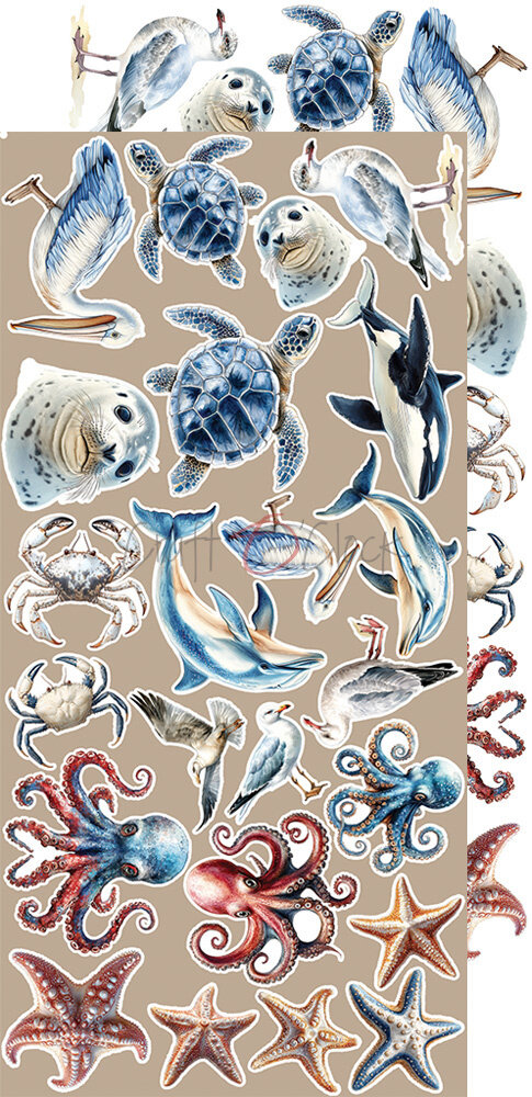 Craft O'Clock Emerald Tales Extras Set Emerald (CC-F40-ET-12) Craft O'Clock Emerald Tales Extras Set Emerald (CC-F40-ET-12)