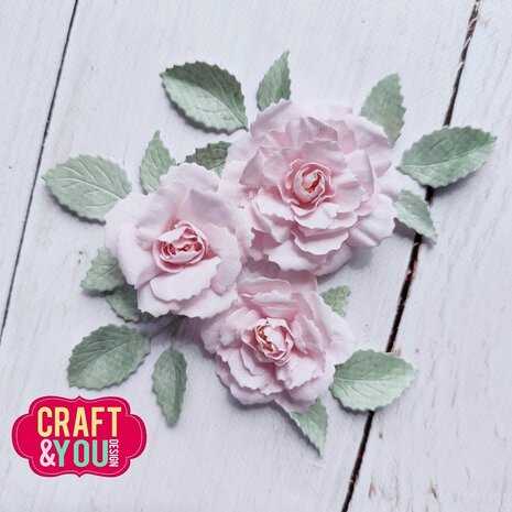 Craft & You Dies Bea's Rose Leaves (CW356) Craft & You Dies Bea's Rose Leaves (CW356)