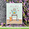 Lawn Fawn Keep on Swimming Add-On Clear Stamps (LF3784) Lawn Fawn Keep on Swimming Add-On Clear Stamps (LF3784)
