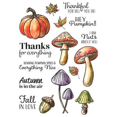 Vaessen Creative Clear Stamps Hey Pumpkin (3625-0012) Vaessen Creative Clear Stamps Hey Pumpkin (3625-0012)