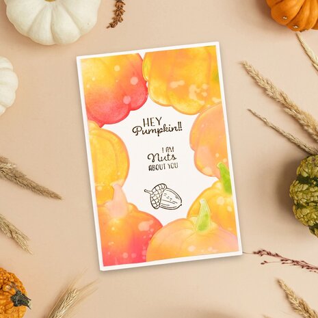Vaessen Creative Clear Stamps Hey Pumpkin (3625-0012) Vaessen Creative Clear Stamps Hey Pumpkin (3625-0012)