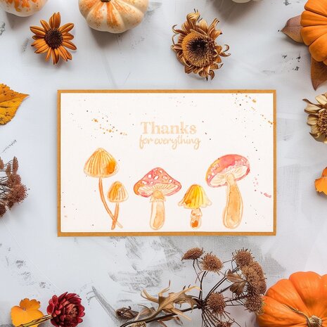 Vaessen Creative Clear Stamps Hey Pumpkin (3625-0012) Vaessen Creative Clear Stamps Hey Pumpkin (3625-0012)