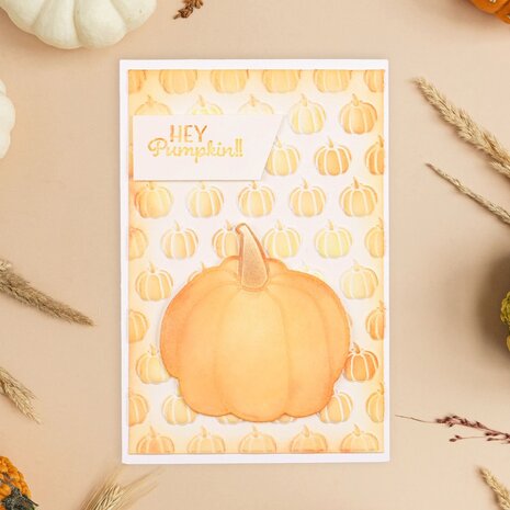 Vaessen Creative Clear Stamps Hey Pumpkin (3625-0012) Vaessen Creative Clear Stamps Hey Pumpkin (3625-0012)