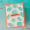 Hero Arts PRE-ORDER Summer By The Shore Sophisticated Shells Dies (DF252) Hero Arts PRE-ORDER Summer By The Shore Sophisticated Shells Dies (DF252)