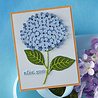 Hero Arts PRE-ORDER Seaside Blooms Layered Hydrangea Dies (DF251) Hero Arts PRE-ORDER Seaside Blooms Layered Hydrangea Dies (DF251)