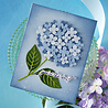 Hero Arts PRE-ORDER Seaside Blooms Layered Hydrangea Dies (DF251) Hero Arts PRE-ORDER Seaside Blooms Layered Hydrangea Dies (DF251)