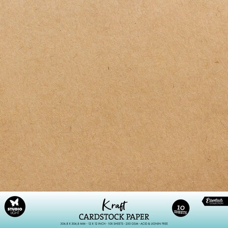 Studio Light Cardstock 12x12 Inch Kraft (10pcs) (SL-CO-PS49)