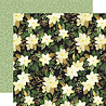 Carta Bella Flora No.4 12x12 Inch Collection Kit (CBFLN135016) (OUTLET) Carta Bella Flora No.4 12x12 Inch Collection Kit (CBFLN135016) (OUTLET)