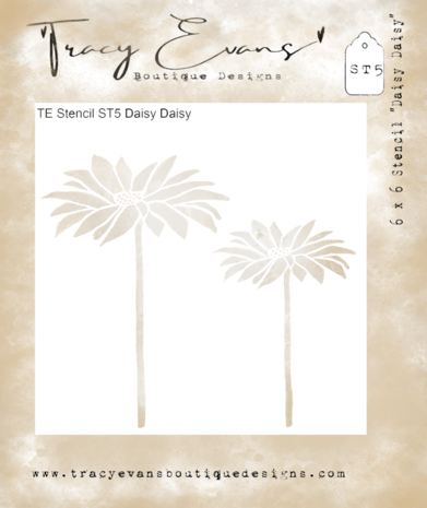 Tracy Evans Daisy Daisy 6x6 Inch Stencil (ST005)
