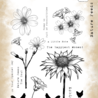 Tracy Evans PRE-ORDER Nature Feeds The Soul A5 Clear Stamp (TE048) Tracy Evans PRE-ORDER Nature Feeds The Soul A5 Clear Stamp (TE048)