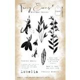 Tracy Evans Lobelia A6 Clear Stamp (TE046)