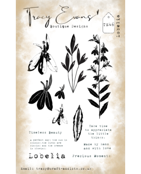 Tracy Evans Lobelia A6 Clear Stamp (TE046)