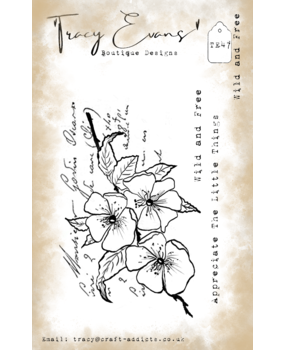 Tracy Evans Wild and Free A7 Clear Stamp (TE047) Tracy Evans Wild and Free A7 Clear Stamp (TE047)