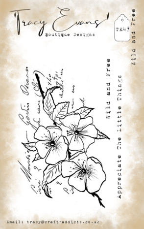 Tracy Evans Wild and Free A7 Clear Stamp (TE047) Tracy Evans Wild and Free A7 Clear Stamp (TE047)