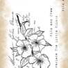 Tracy Evans PRE-ORDER Wild and Free A7 Clear Stamp (TE047) Tracy Evans PRE-ORDER Wild and Free A7 Clear Stamp (TE047)