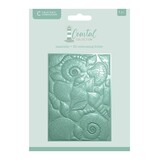 Crafter's Companion Coastal 3D Embossing Folder Seashells (CC-CO-3D-EF5-SESH)