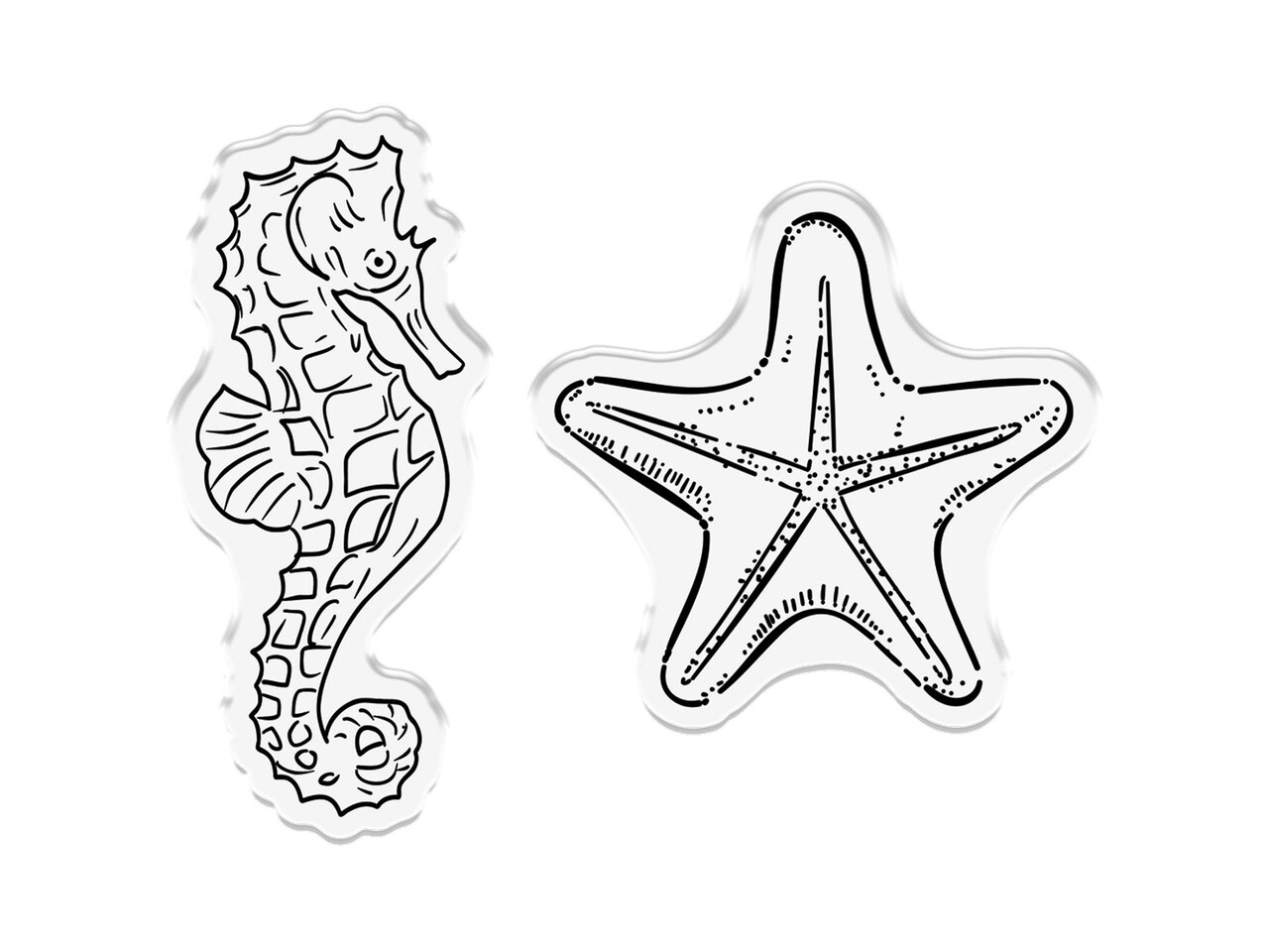 Crafter's Companion Coastal Stamp & Die Under the Sea (CC-CO-STD-UTS) Crafter's Companion Coastal Stamp & Die Under the Sea (CC-CO-STD-UTS)