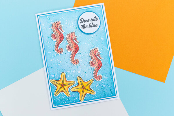 Crafter's Companion Coastal Stamp & Die Under the Sea (CC-CO-STD-UTS) Crafter's Companion Coastal Stamp & Die Under the Sea (CC-CO-STD-UTS)