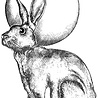 Crafty Individuals Hare and Moon Unmounted Rubber Stamps (CI-508) (OUTLET) Crafty Individuals Hare and Moon Unmounted Rubber Stamps (CI-508) (OUTLET)