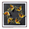 Crafty Individuals Bits and Boats Unmounted Rubber Stamps (CI-628) (OUTLET) Crafty Individuals Bits and Boats Unmounted Rubber Stamps (CI-628) (OUTLET)