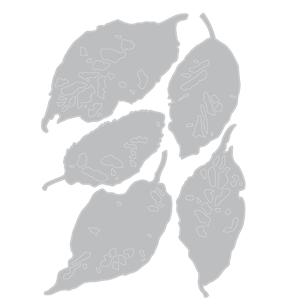 Sizzix Thinlits Die Set Leaf Fragments (665559) Sizzix Thinlits Die Set Leaf Fragments (665559)