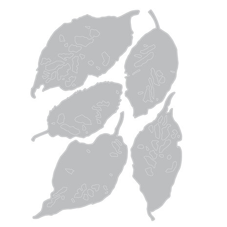 Sizzix Thinlits Die Set Leaf Fragments (665559) Sizzix Thinlits Die Set Leaf Fragments (665559)