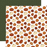 Carta Bella PRE-ORDER Americana 12x12 Inch Collection Kit (CBA454016) Carta Bella PRE-ORDER Americana 12x12 Inch Collection Kit (CBA454016)