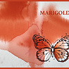 Pink Ink Designs Ink It Marigold 20ml (PIWINKMAR) (OUTLET) Pink Ink Designs Ink It Marigold 20ml (PIWINKMAR) (OUTLET)