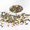 Picket Fence Studios Fish Food Sequin Mix (SQC-181) (OUTLET) Picket Fence Studios Fish Food Sequin Mix (SQC-181) (OUTLET)